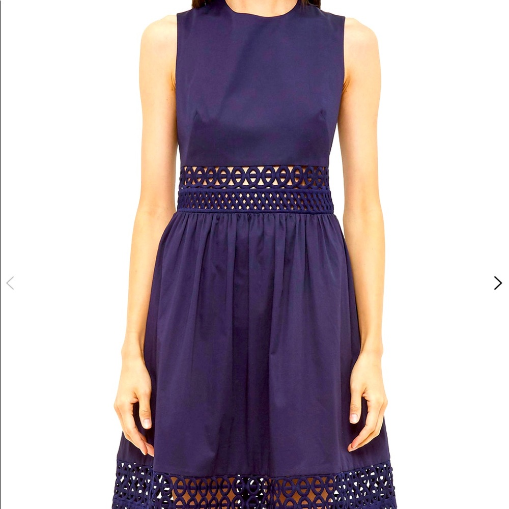 NWT Ted Baker lace panel sleeveless dress